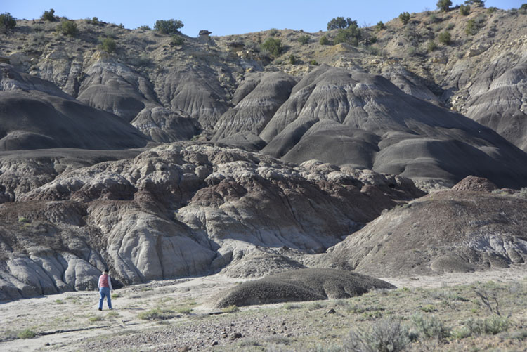 My new O’Keeffe mystery is coming Feb 3