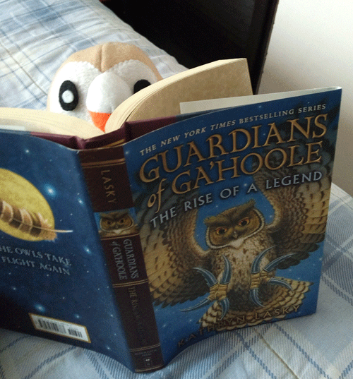 Owls like to read