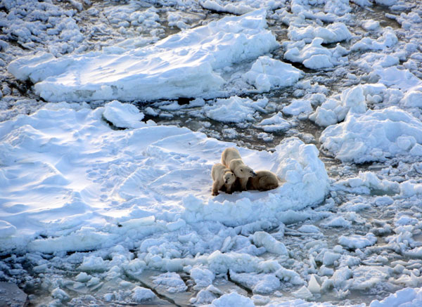 Earth Day and The Great Melting