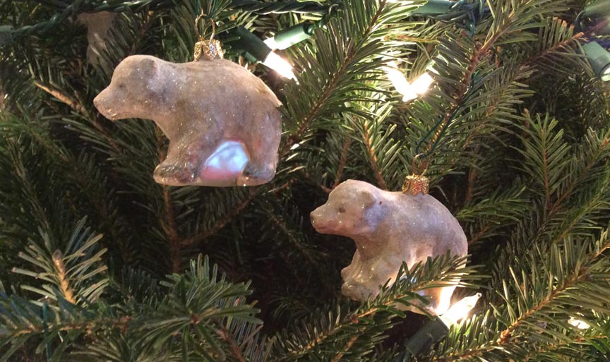 Polar Bear cubs on the tree